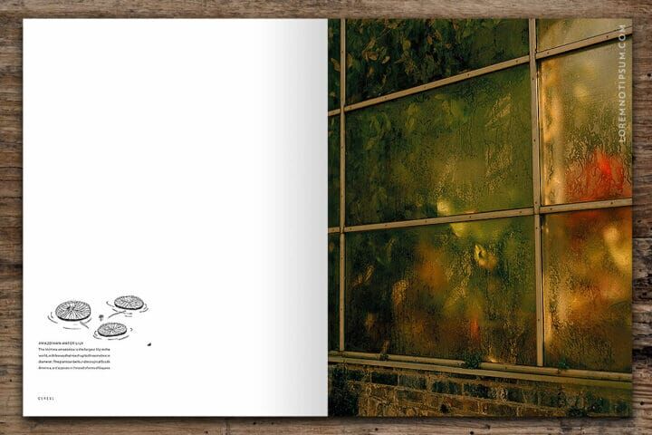Cereal Magazine - Buy from LOREM (not Ipsum)