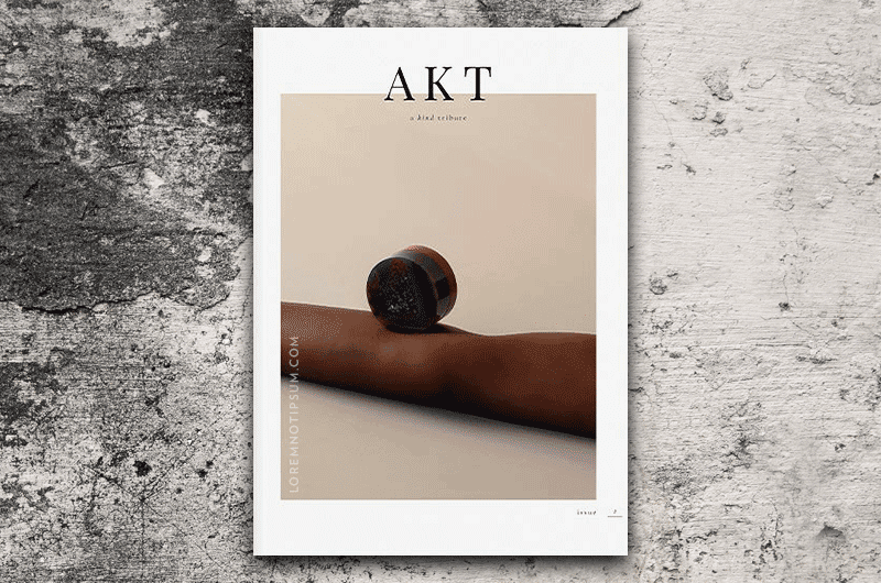 Akt Magazine Issue 2 – loremnotipsum.com