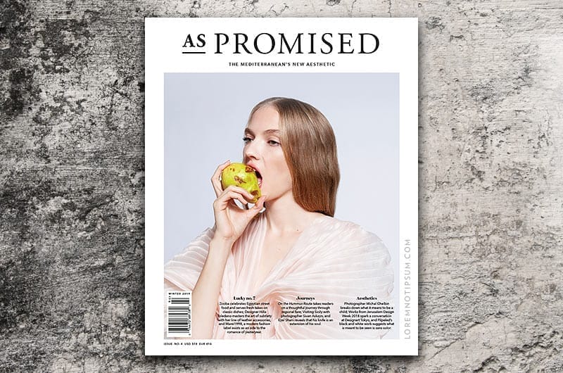 As Promised Magazine Issue 4 – loremnotpsum.com