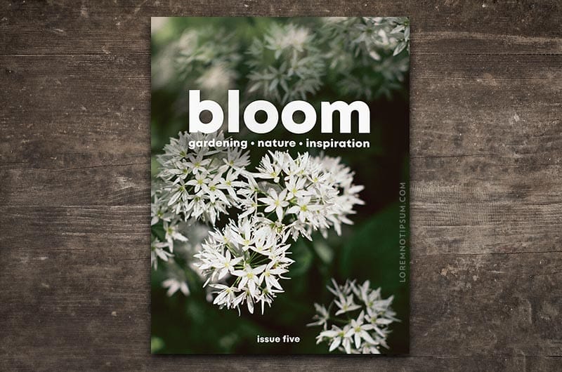 Bloom Magazine Issue 5 – loremnotipsum.com