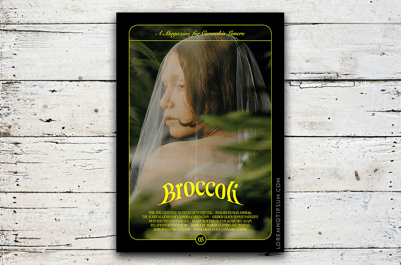 Broccoli Magazine Issue 5 – loremnotipsum.com