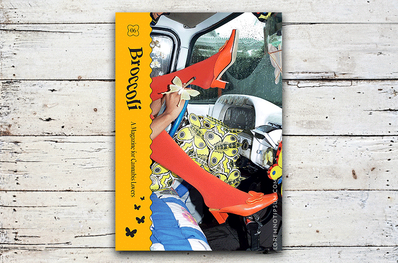 Broccoli Magazine Issue 6 – loremnotipsum.com