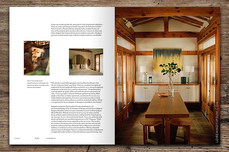 Cereal Magazine – Volume 19 - Buy from LOREM (not Ipsum)