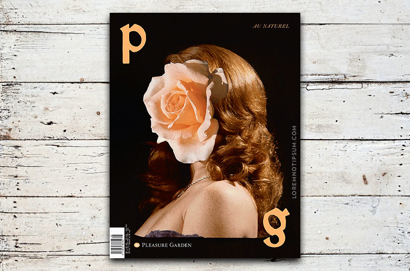 Pleasure Garden Magazine Issue 5 – loremnotipsum.com