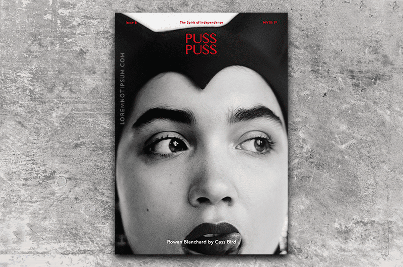 PUSS PUSS Magazine Issue 8 – loremnotipsum.com