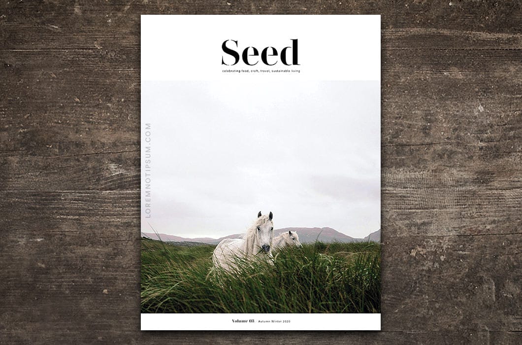 Seed Magazine Volume 3 – loremnotipsum.com
