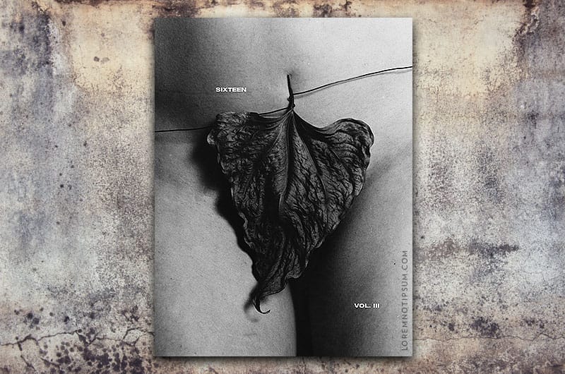 Sixteen Journal Volume 3 – loremnotipsum.com