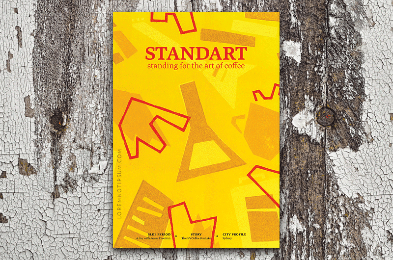 Standart Magazine Issue 13 – loremnotipsum.com