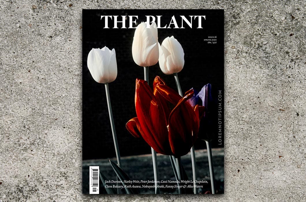 The Plant Magazine Issue 16 – loremnotipsum.com