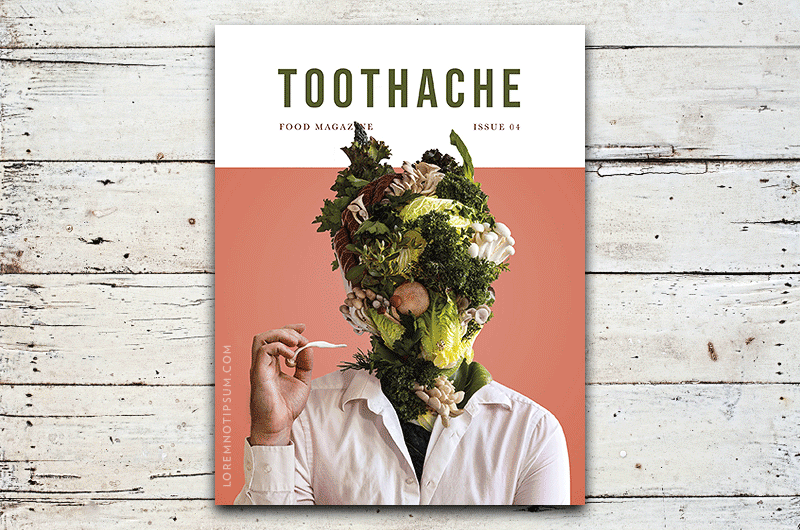 Tooth-Ache Magazine Issue 4 – loremnotipsum.com