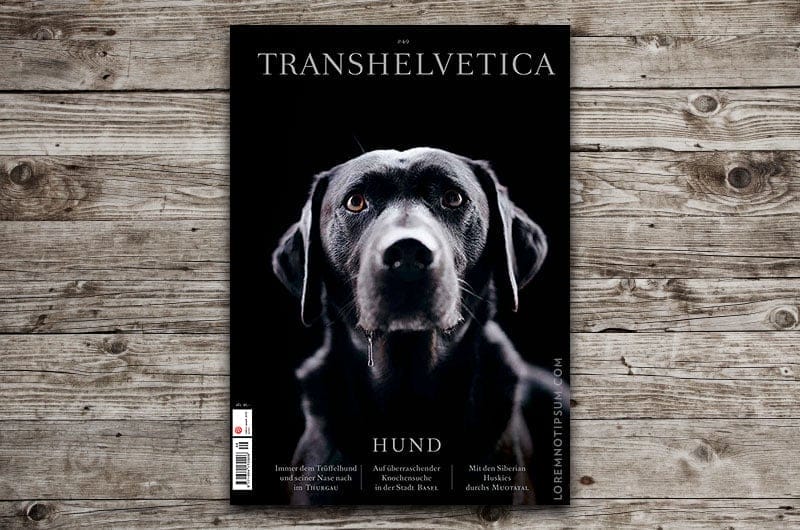 Transhelvetica Magazin Nr. 49 (Hund) – loremnotipsum.com