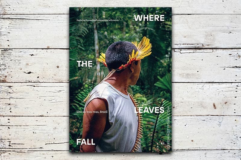 Where The Leaves Fall Issue 1 – loremnotipsum.com
