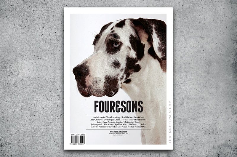 Four & Sons Magazine Issue 9 – loremnotipsum.com