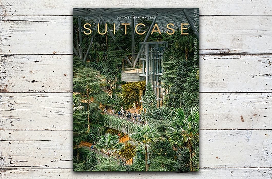 Suitcase Magazine Volume 40 (the Visionary Issue) – loremnotipsum.com