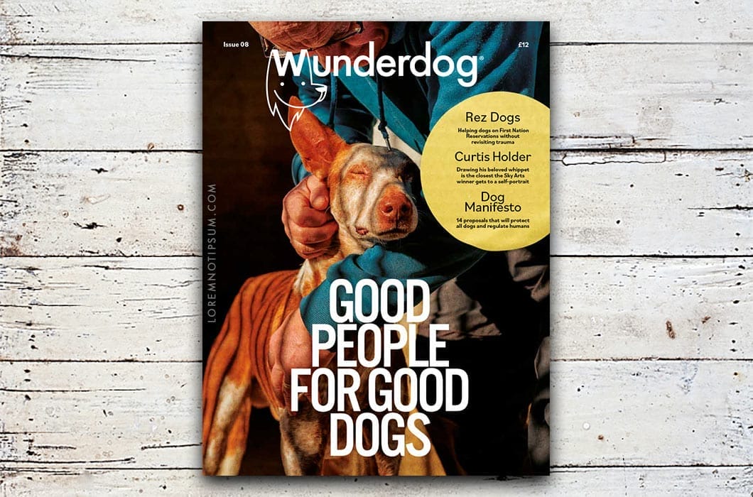 Wunderdog Magazine Issue 8 – loremnotipsum.com