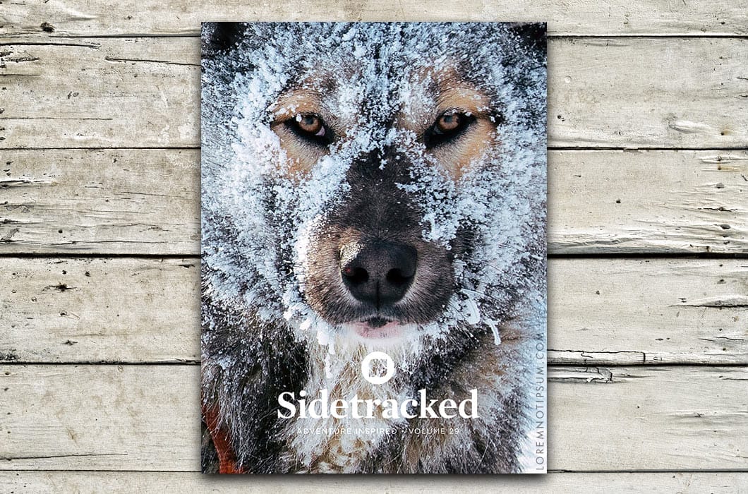 Sidetracked Magazine Volume 29 – loremnotipsum.com