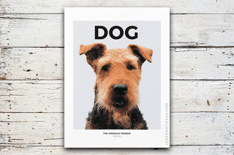 Dog Magazine Issue 6 – loremnotipsum.com