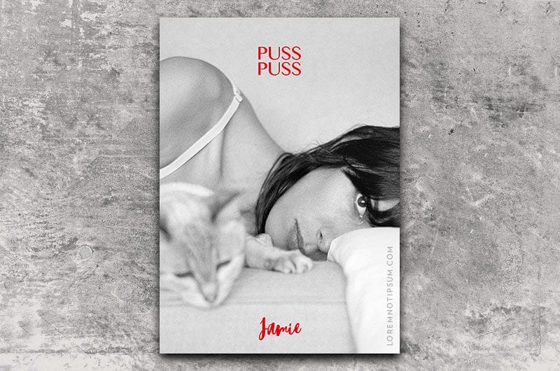 Puss Puss Magazine Issue 6 – loremnotipsum.com