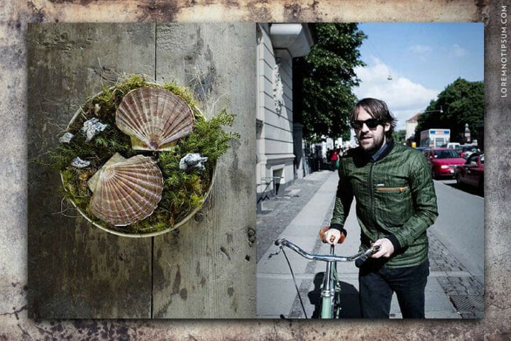 Oak The Nordic Journal - Buy from LOREM (not Ipsum)