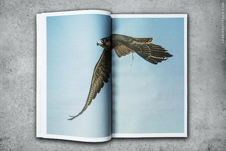 Cereal Magazine – Volume 6 - Buy from LOREM (not Ipsum)