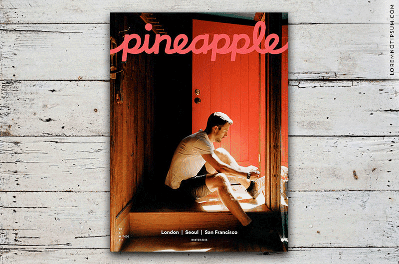 Pineapple Magazine – Issue 1