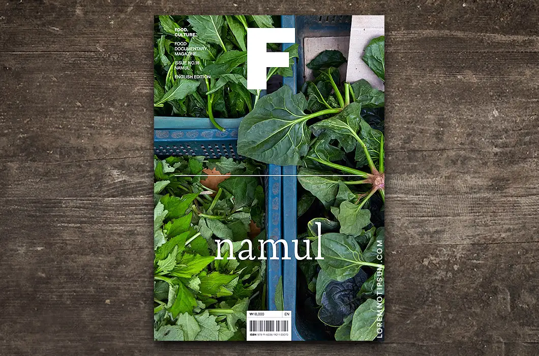 Magazine F – Issue 16 (Namul)