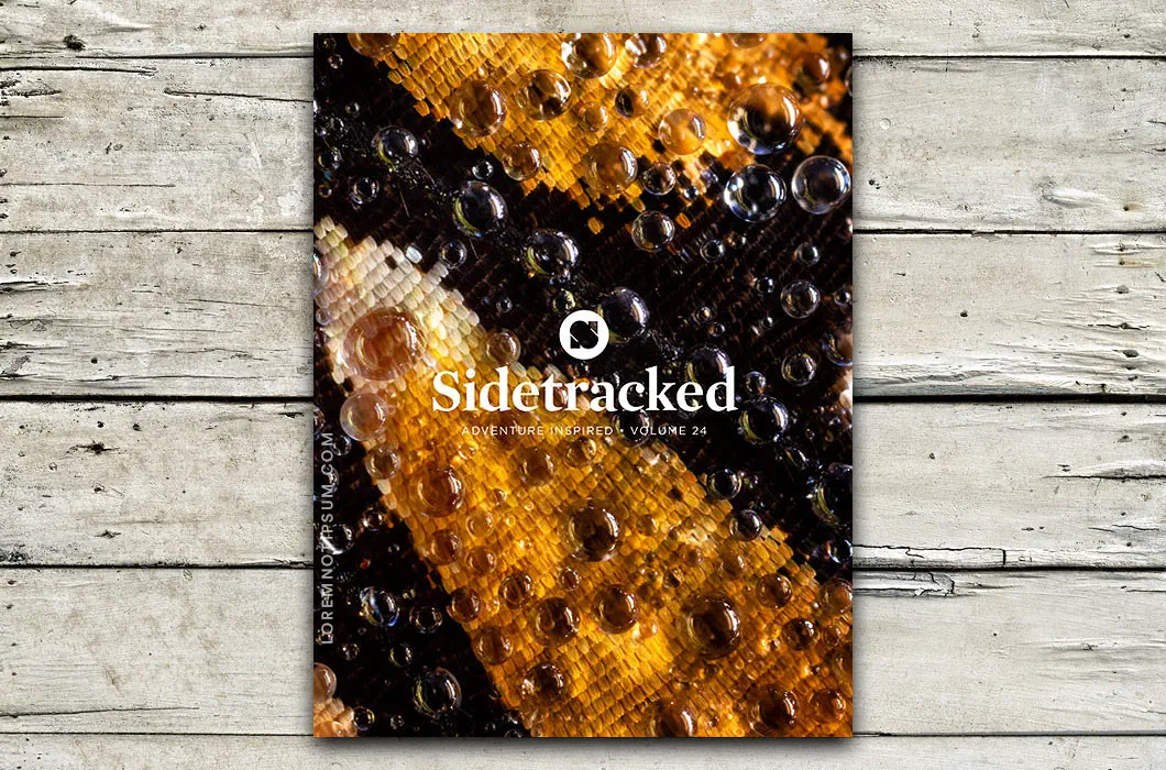 Sidetracked Magazine – Volume 24