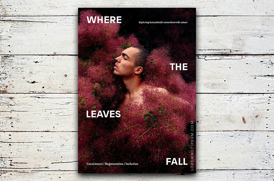 Where the Leaves Fall – Issue 11