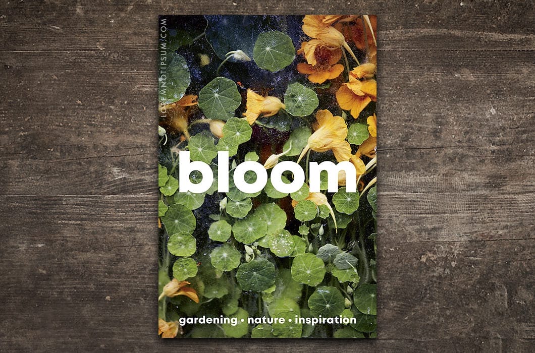 Bloom Magazine Issue 15 – loremnotipsum.com