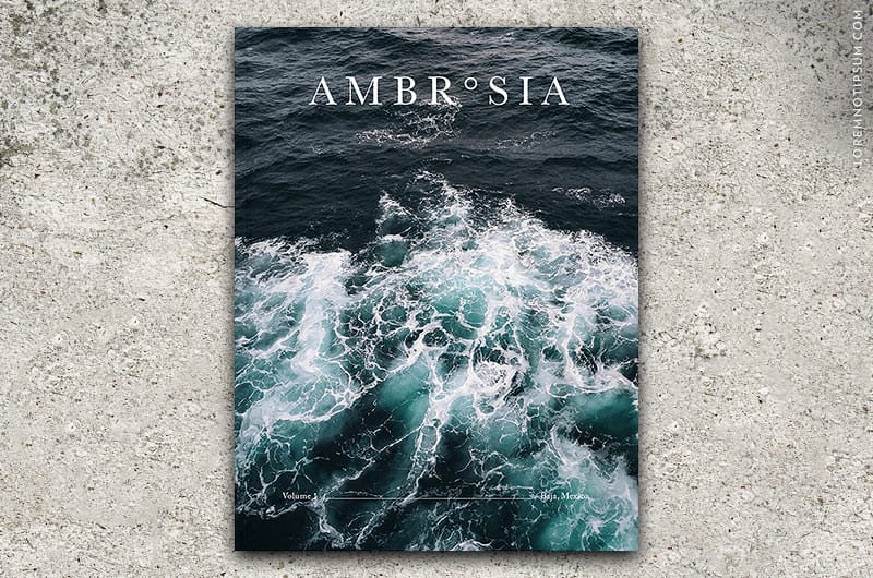 ambrosia-magazine_volume01_cover