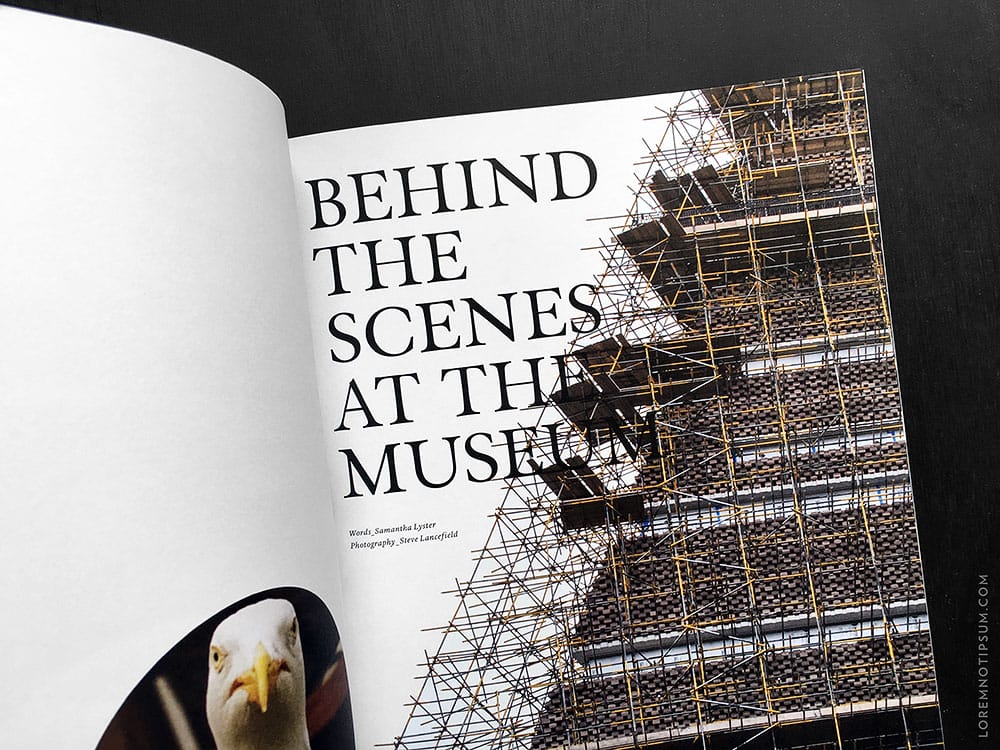 article-magazine_issue7_11