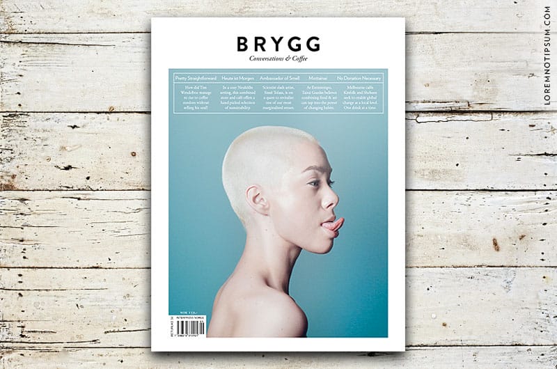 brygg-magazine_issue16-01_cover2-2