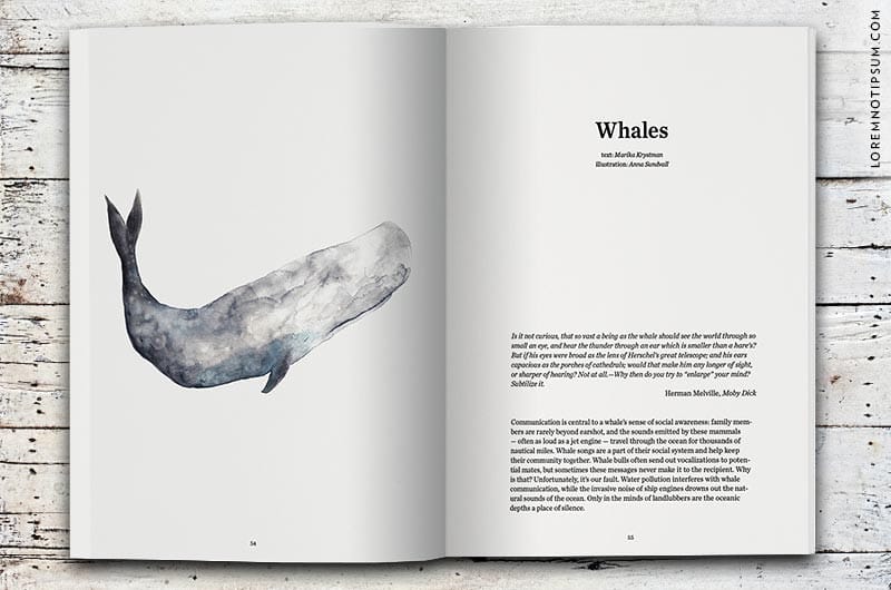 fathers-quarterly-magazine_no2_01