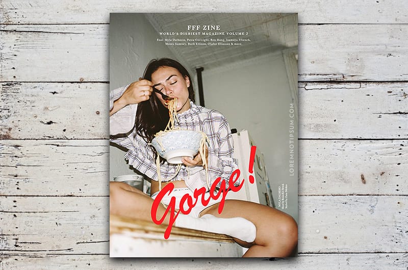 fff-zine-magazine_issue2_cover