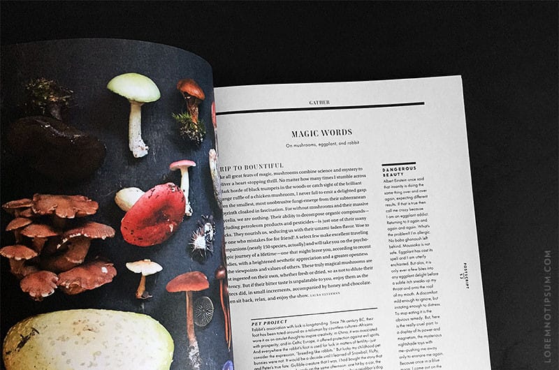 Gather Journal Issue 6 – loremnotipsum.com