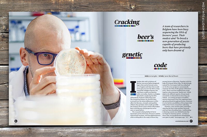 hot-rum-cow-magazine_issue06_03