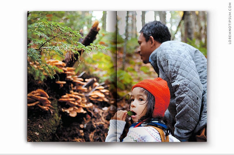 kindling-quarterly_issue04_06