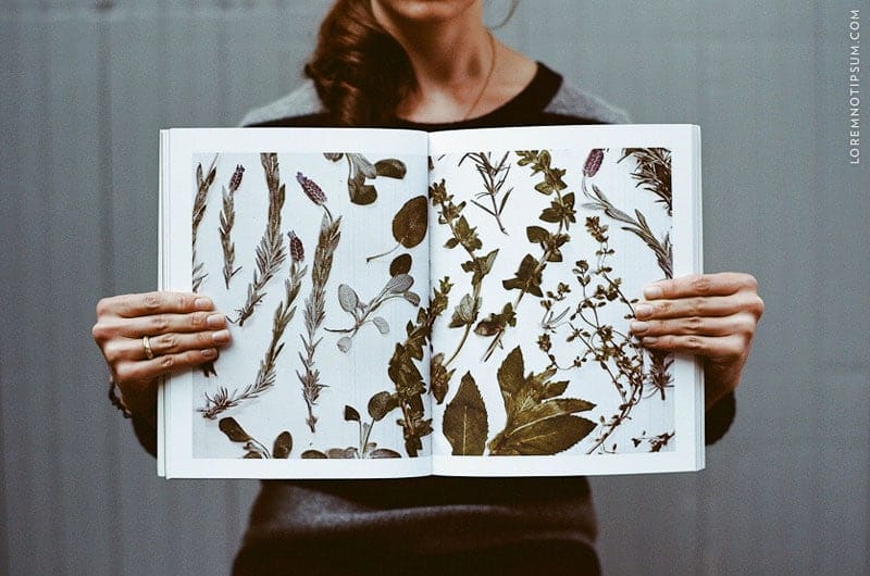 kinfolk-magazine_005_01