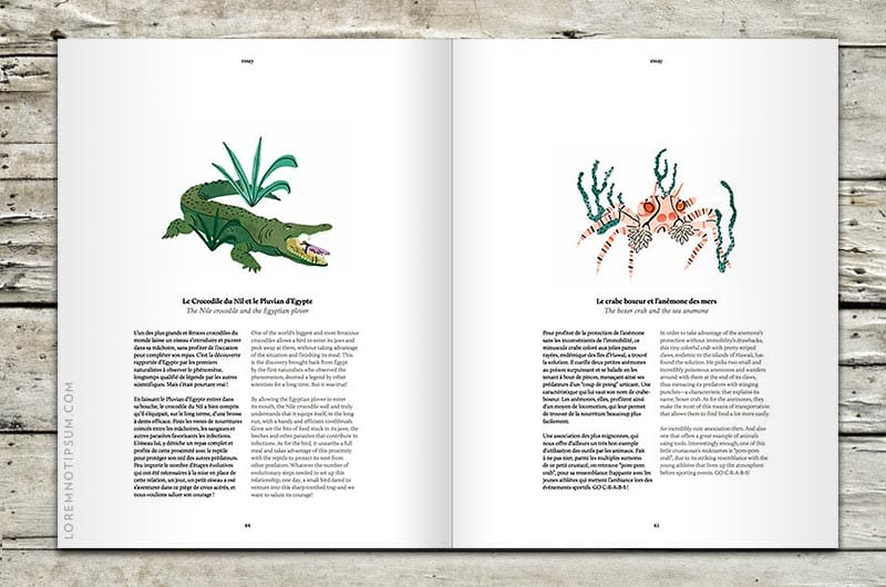 les-others-magazine_volume04_06