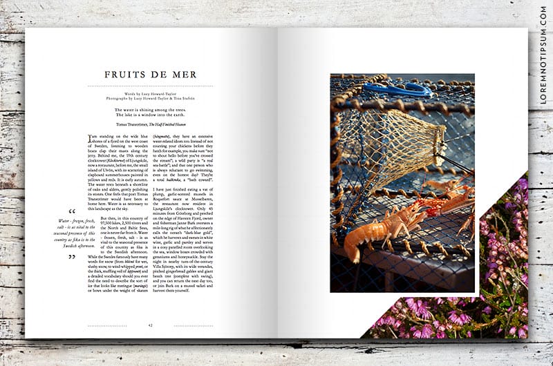 lodestars-anthology_issue5-sweden_01