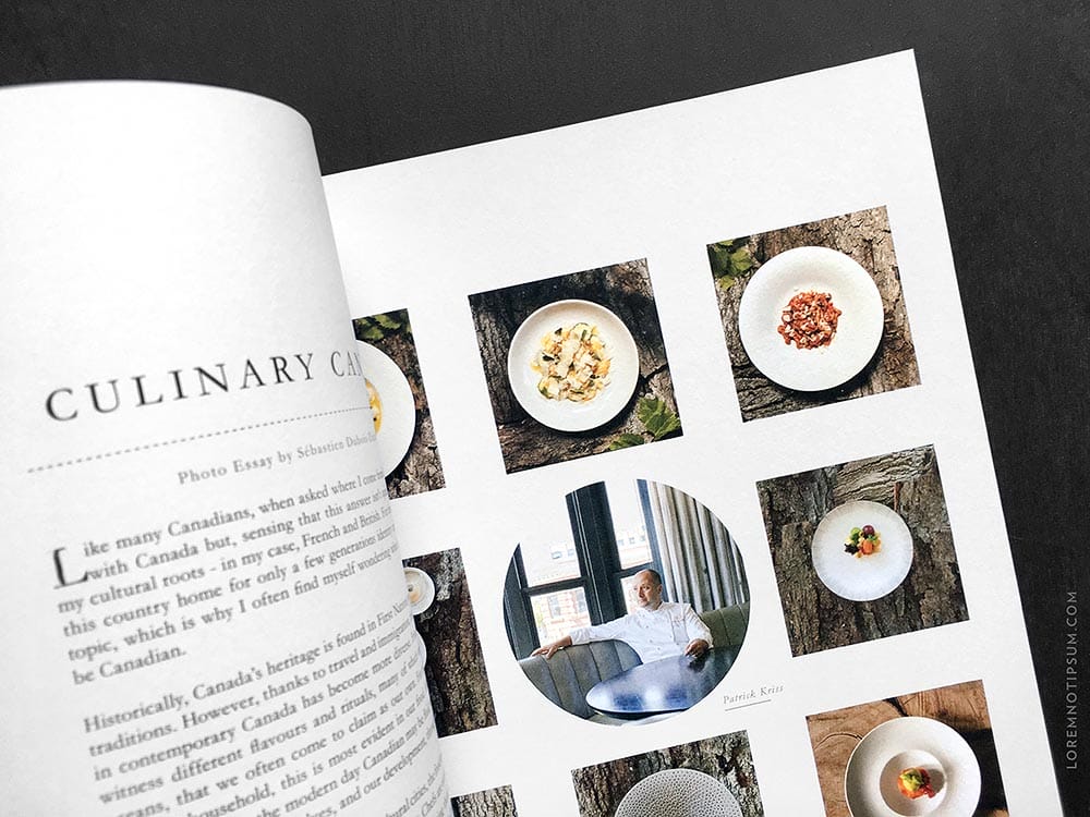 lodestars-anthology_issue6-canada_02