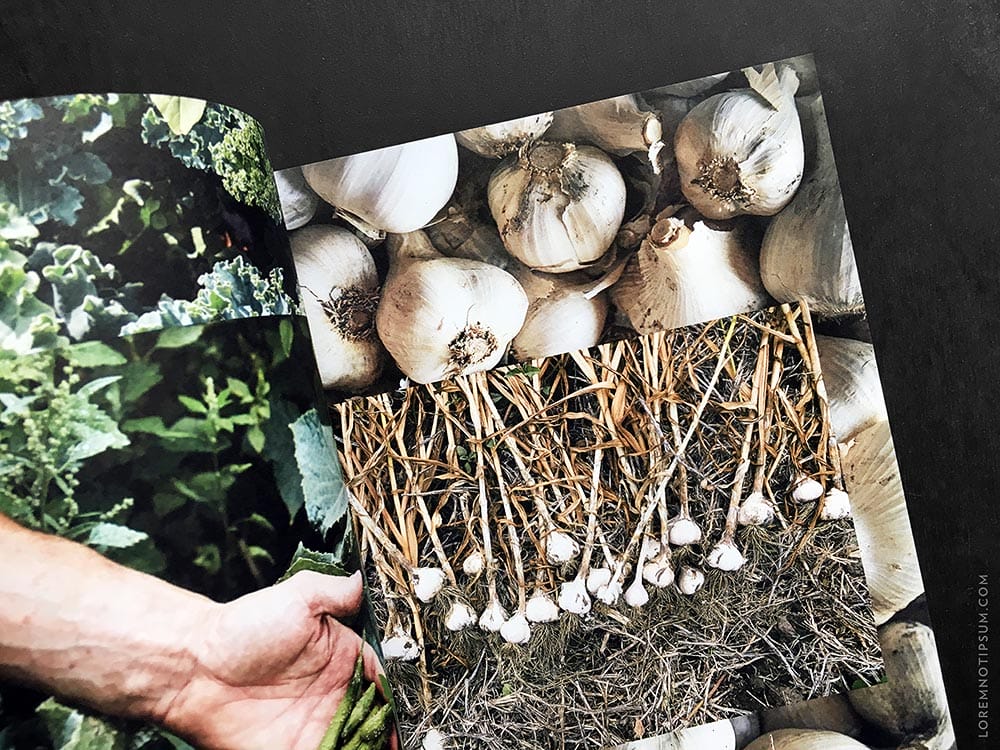 lodestars-anthology_issue6-canada_03