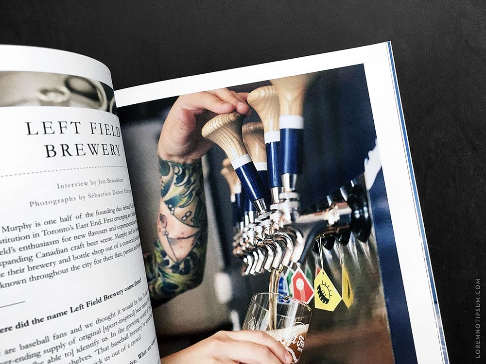 lodestars-anthology_issue6-canada_04