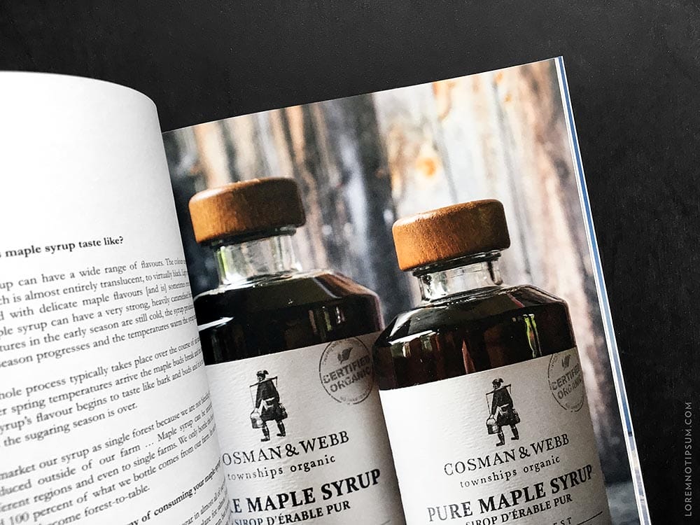 lodestars-anthology_issue6-canada_05