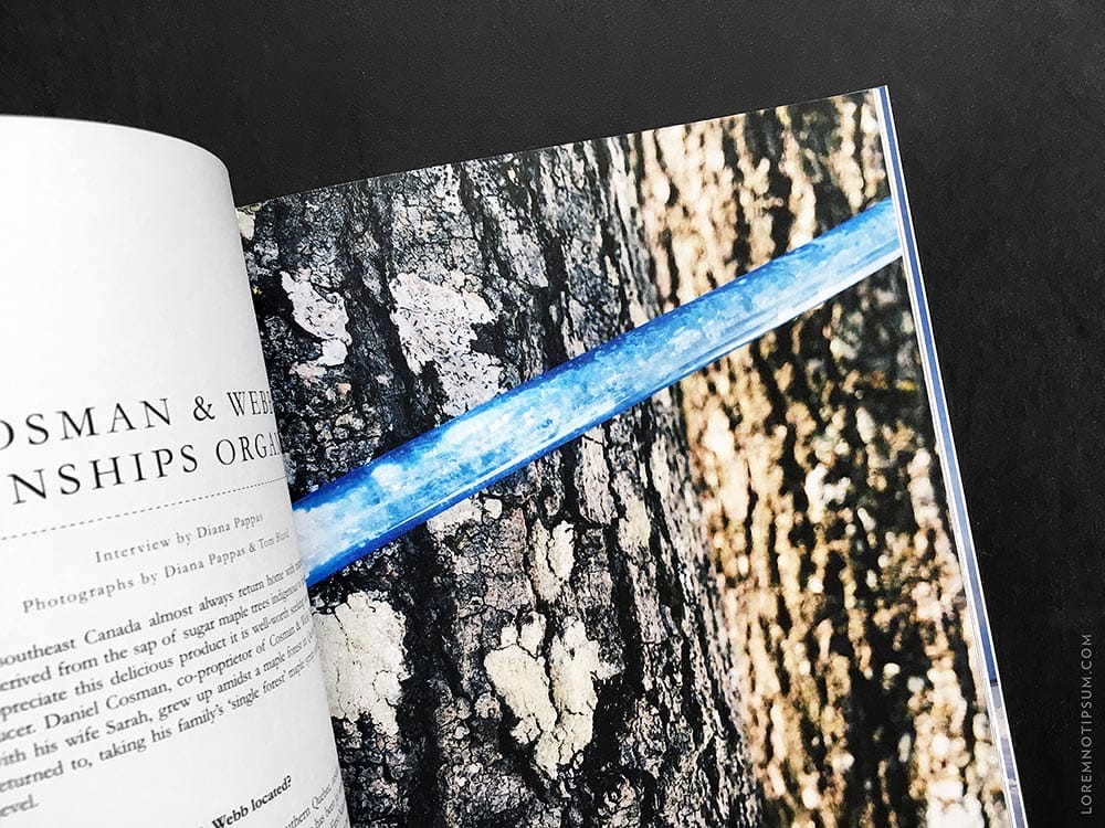 lodestars-anthology_issue6-canada_06