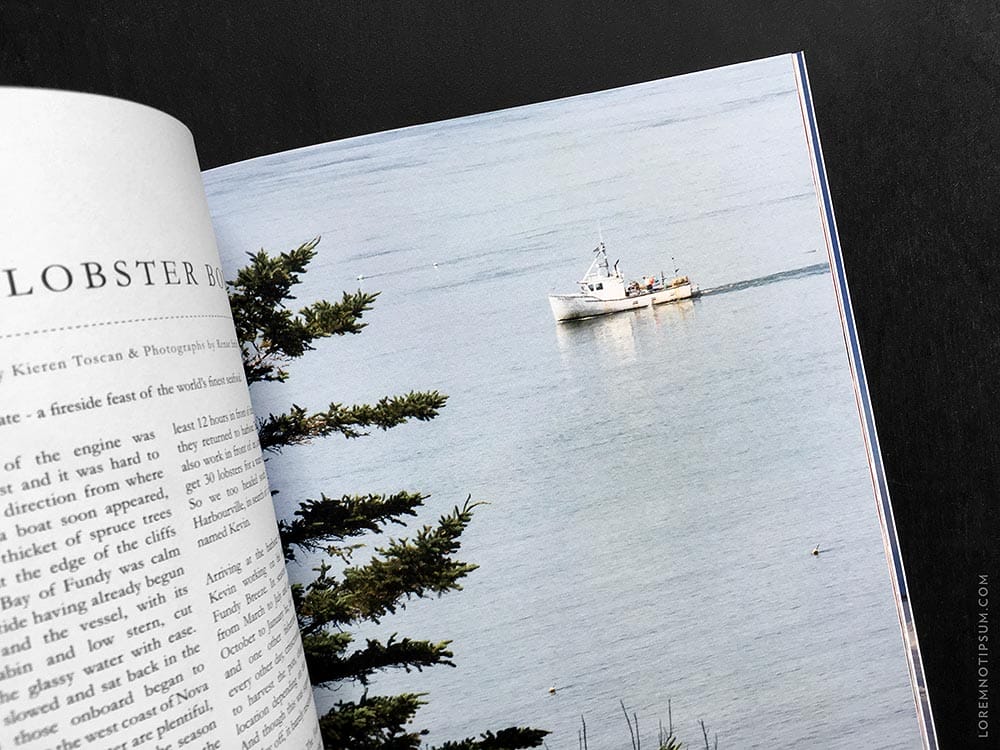 lodestars-anthology_issue6-canada_09