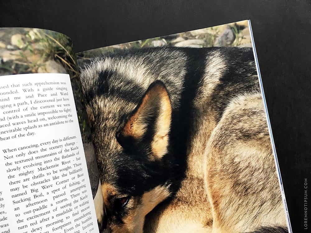 lodestars-anthology_issue6-canada_10