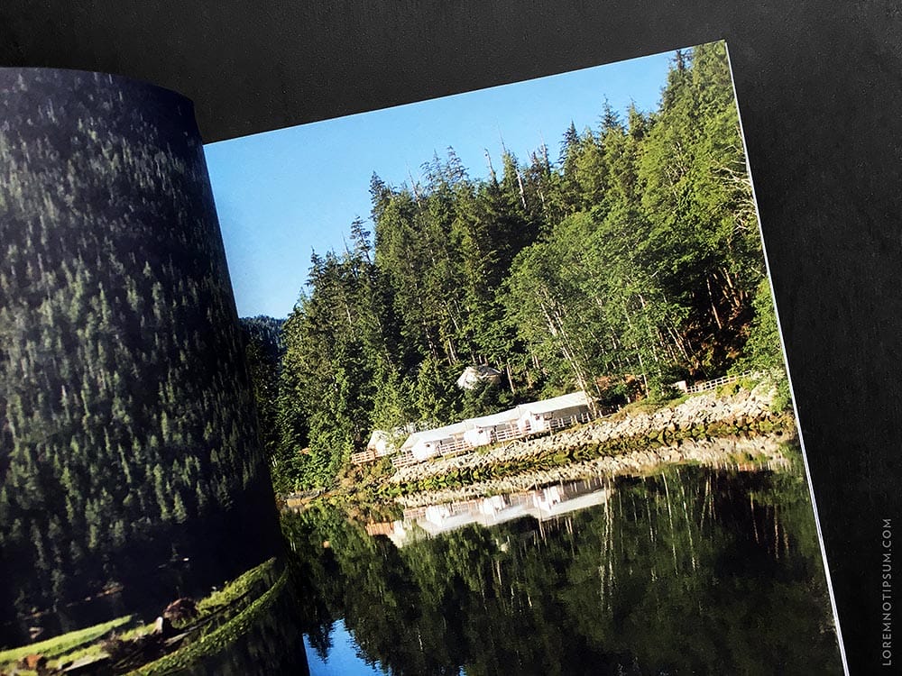 lodestars-anthology_issue6-canada_11