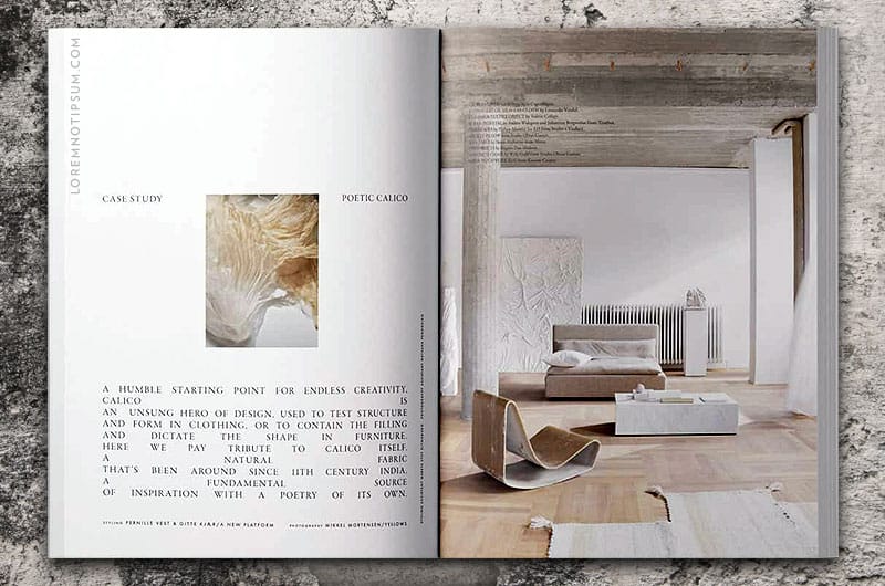 Ark Journal Volume 1 – loremnotipsum.com