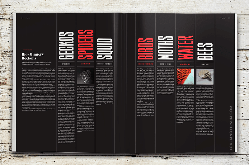 Avaunt Magazine Issue 6 – loremnotipsum.com